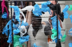 Serie C 020 * 5616 x 3744 * (8.01MB)